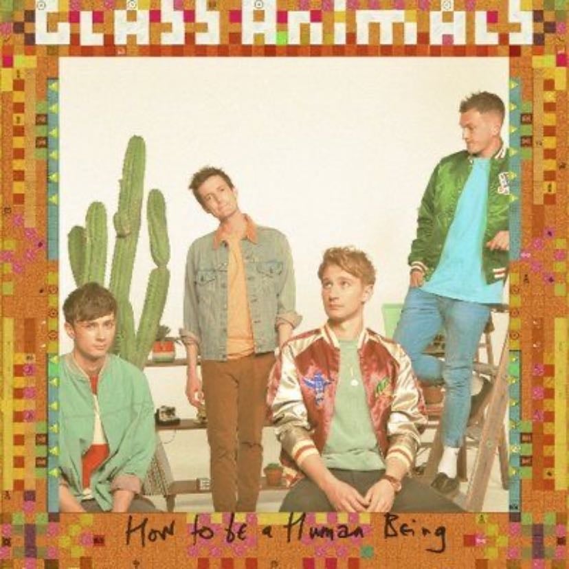 Glass Animals - Artist
