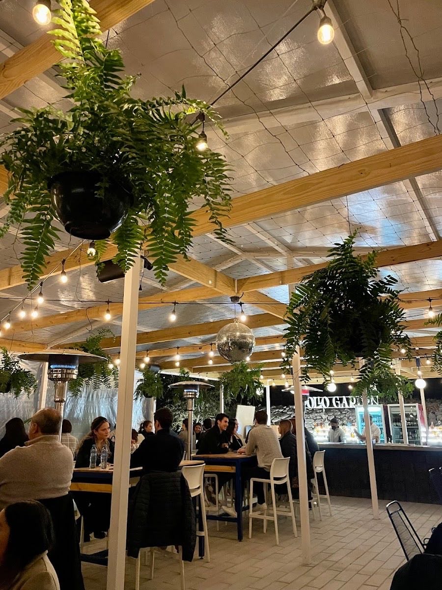 Apollo Garden - @apollo.mx