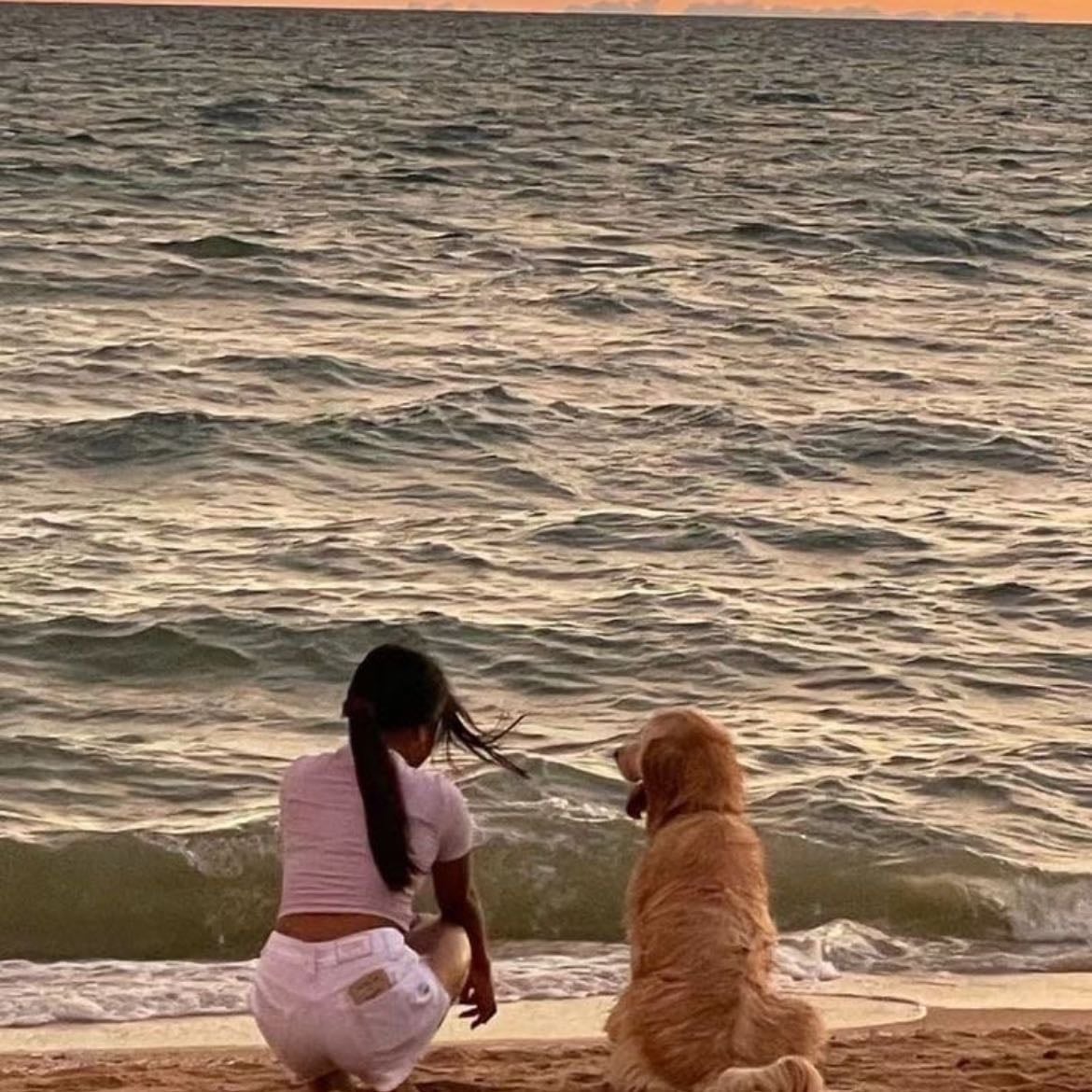 Levar meu cachorro pra praia