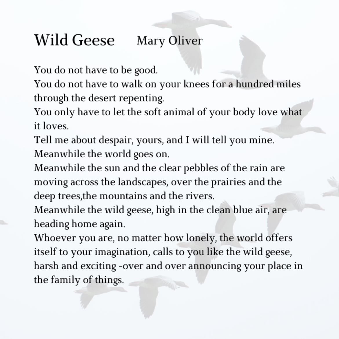 wild geese - mary oliver