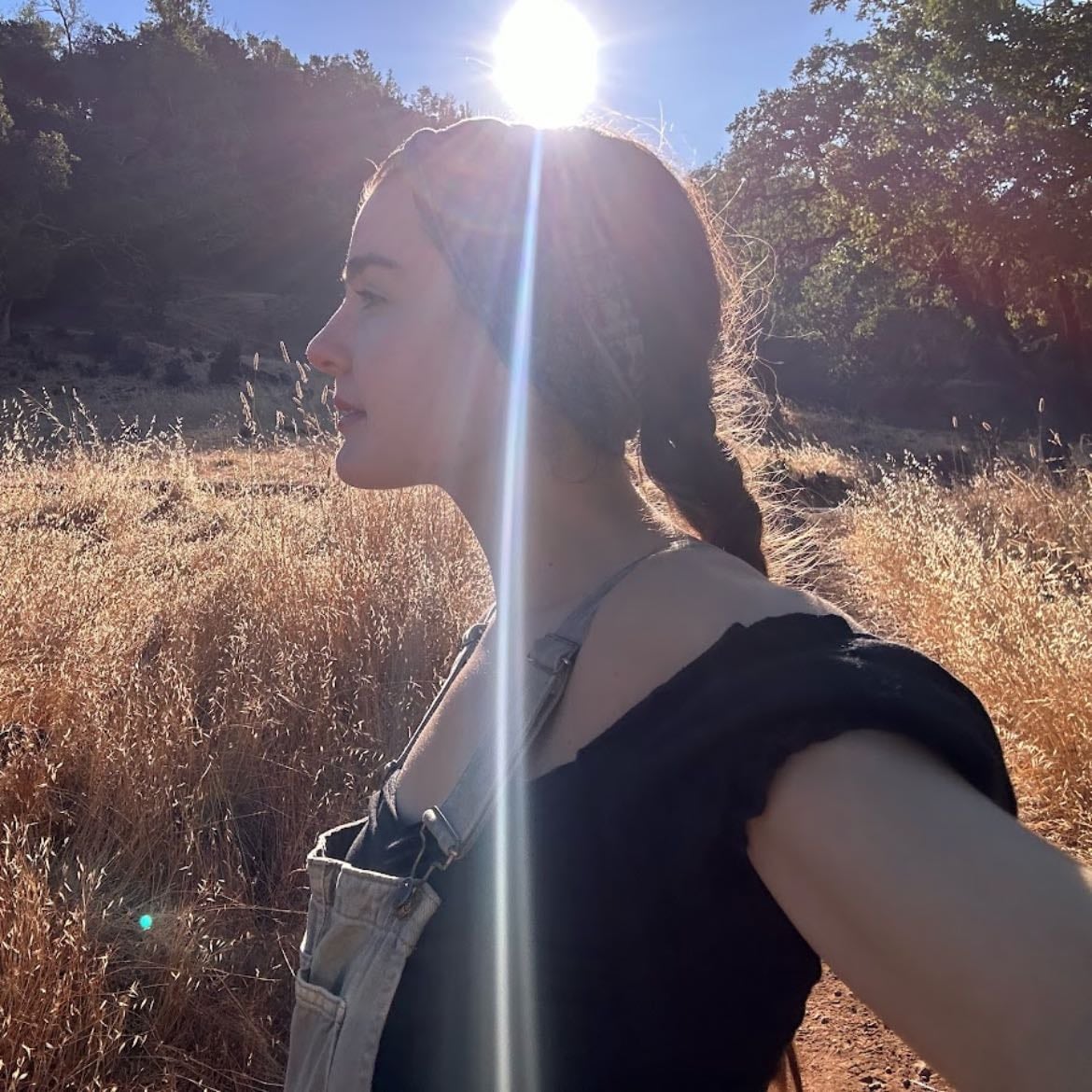 when the sun smiles - pippin jardine