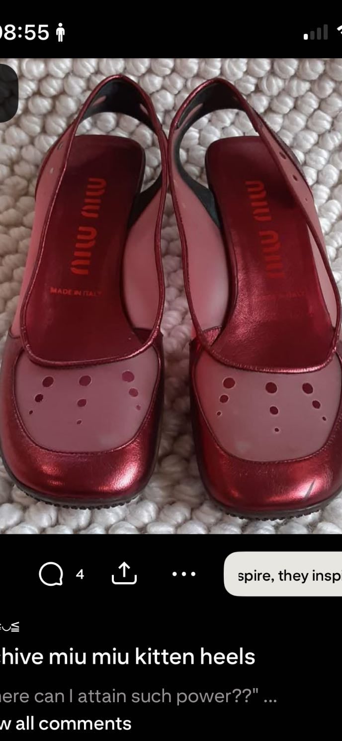 miu miu kittens