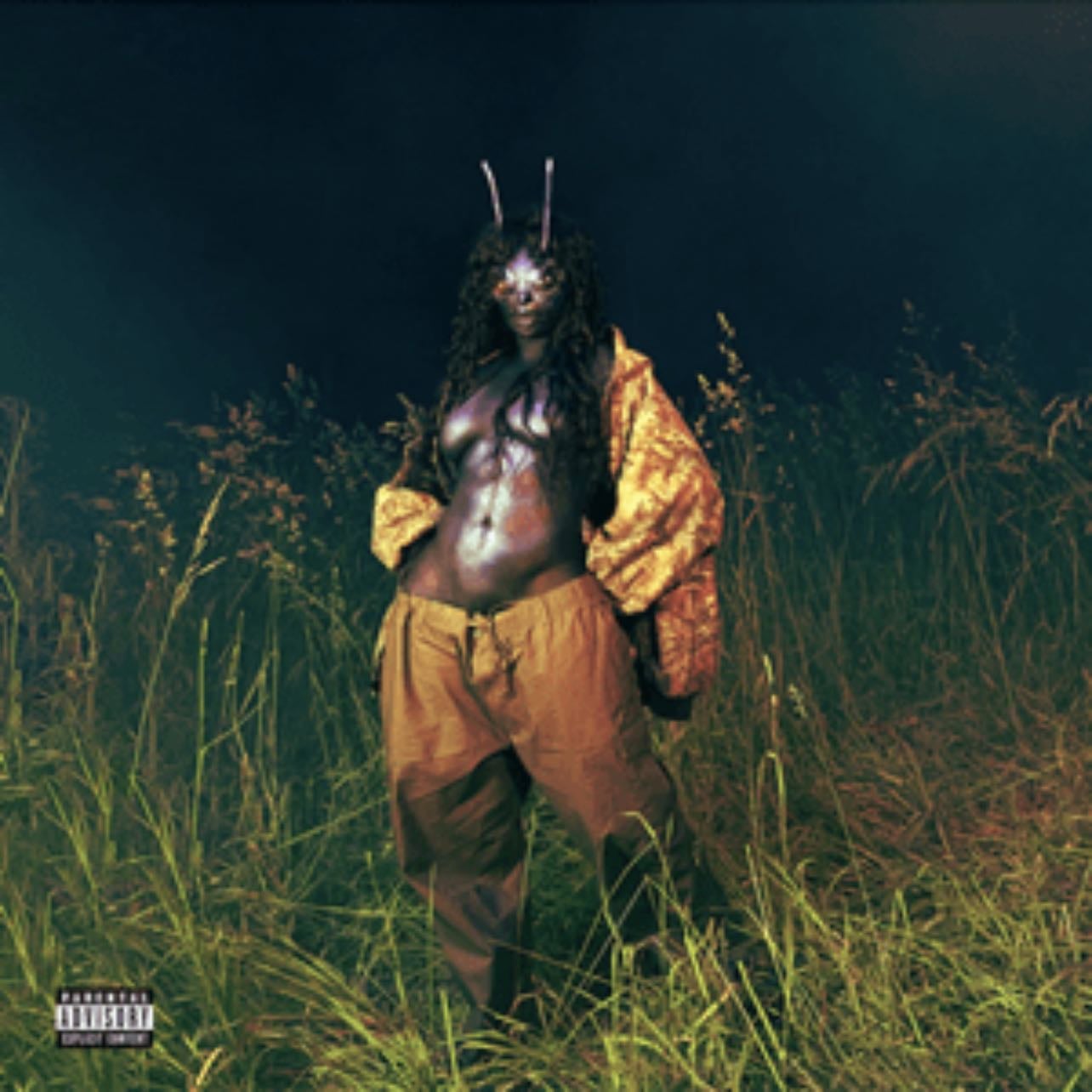 LANA (SOS Deluxe) - SZA - 9.0/10