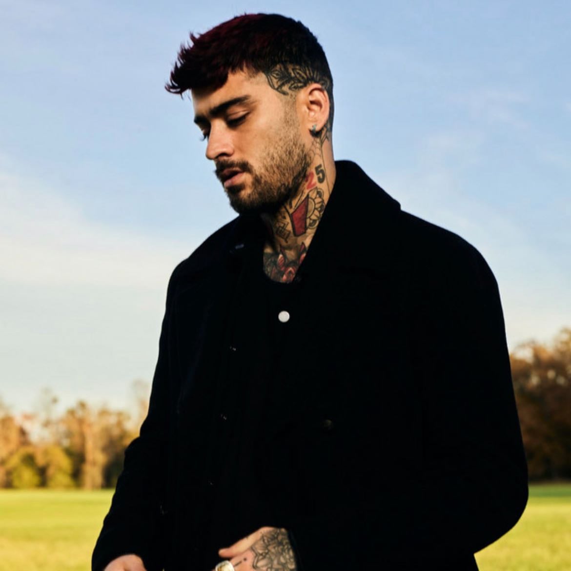 ZAYN - Artist