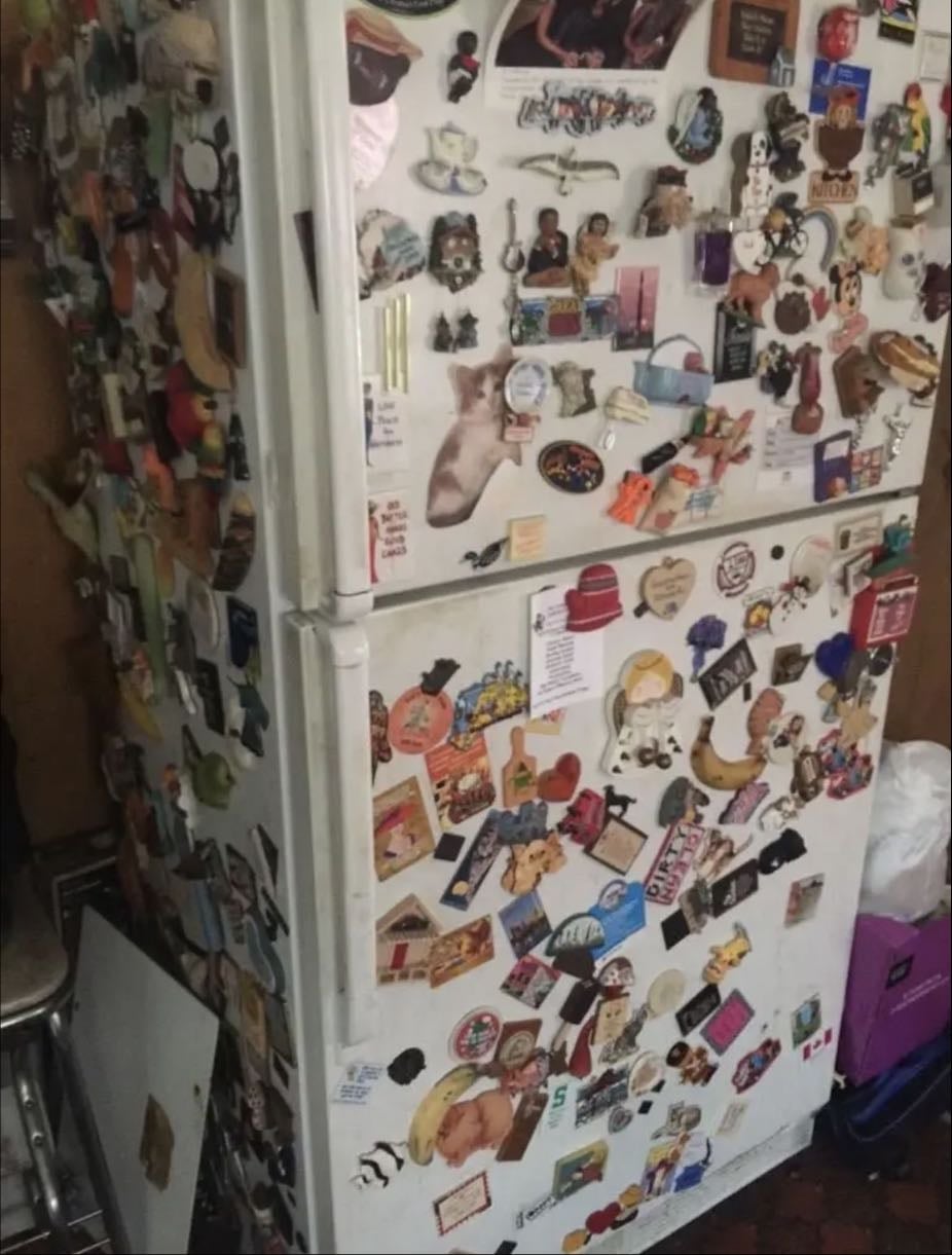 fridge full of magnets - kitchen