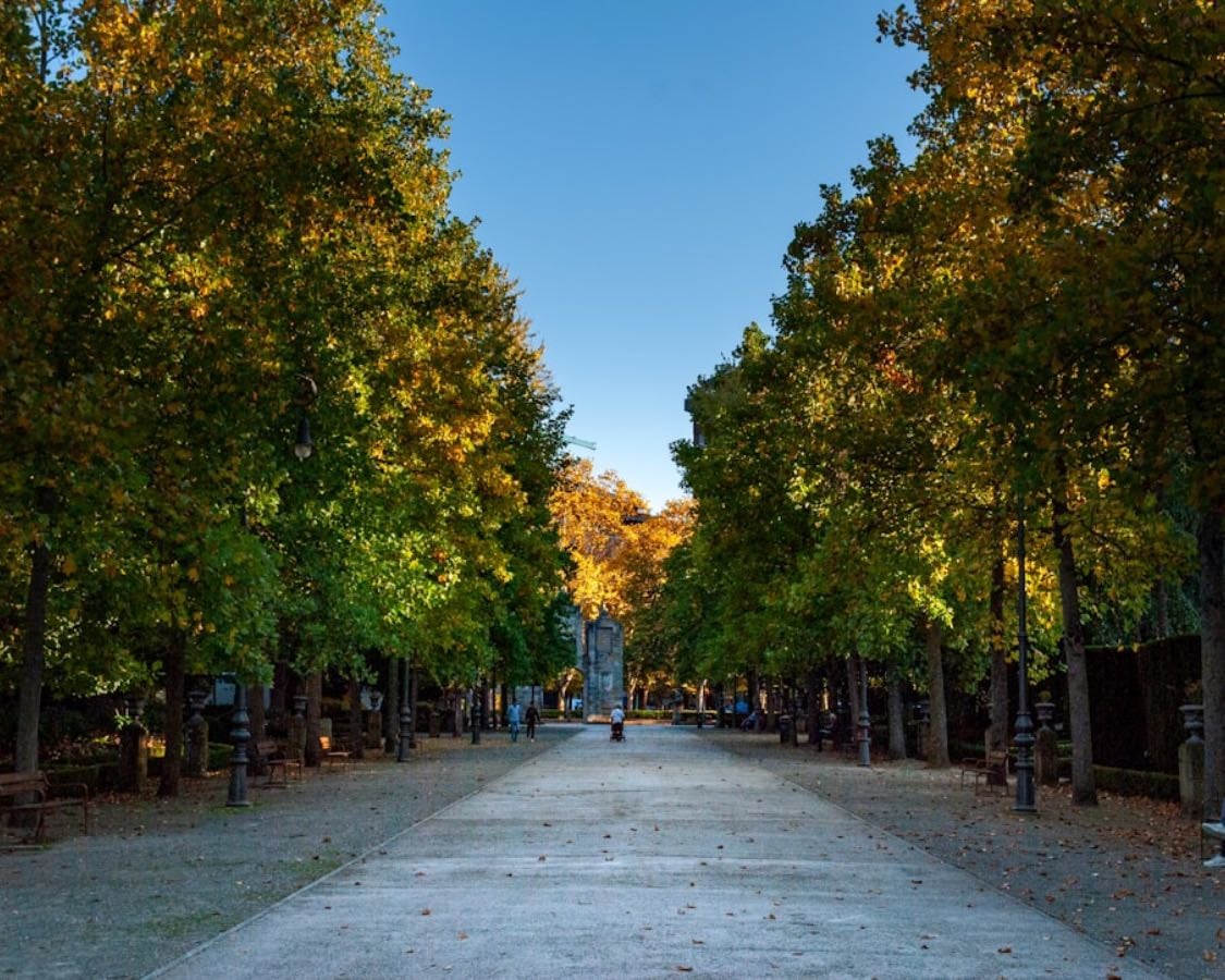 Pamplona