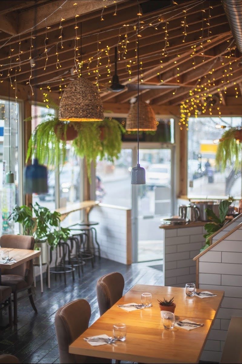 The Cottage Cheese - urban indian