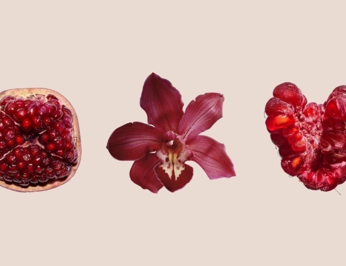 Recetas lindas .βΉΛα―β
. έβ