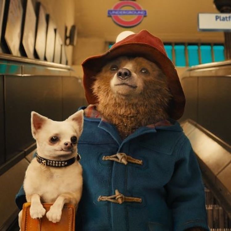 Paddington - Paul King · 2014
