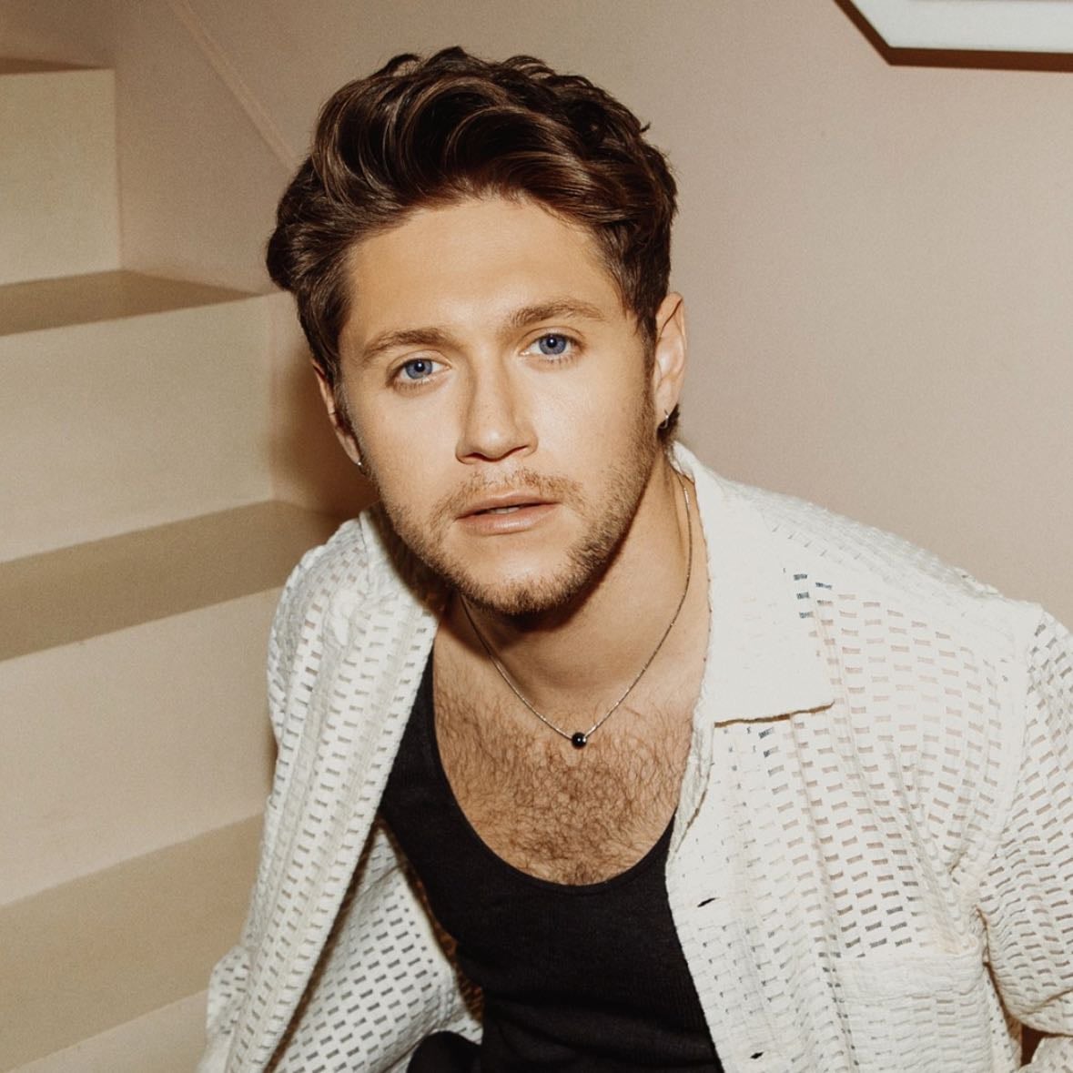 Niall Horan - Artist