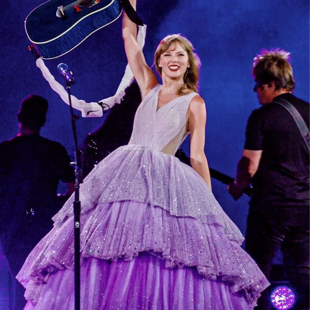 cupcake dress - speak now