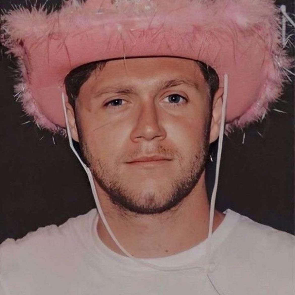 Niall Horan - Artist
