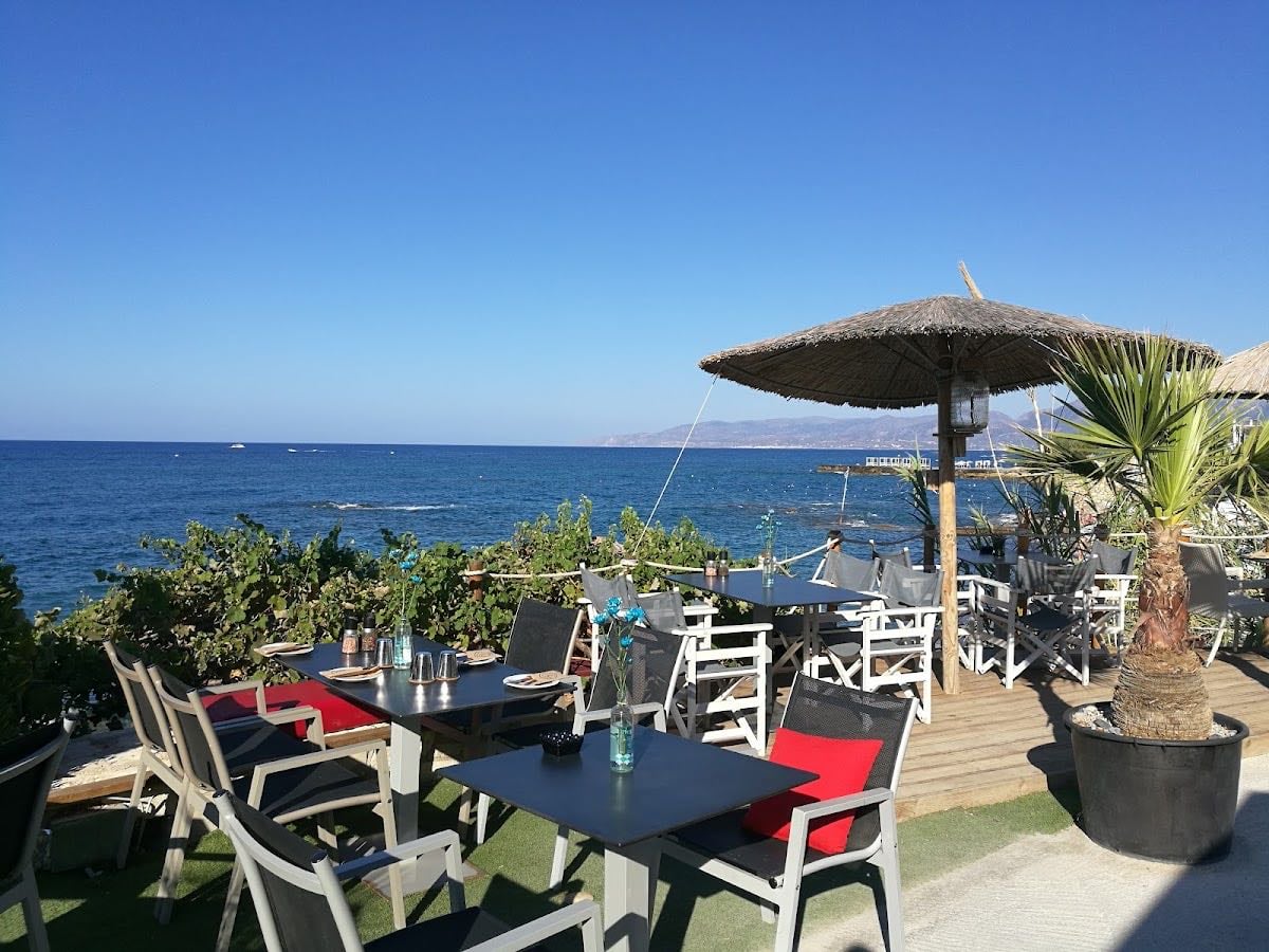 Med Cafe