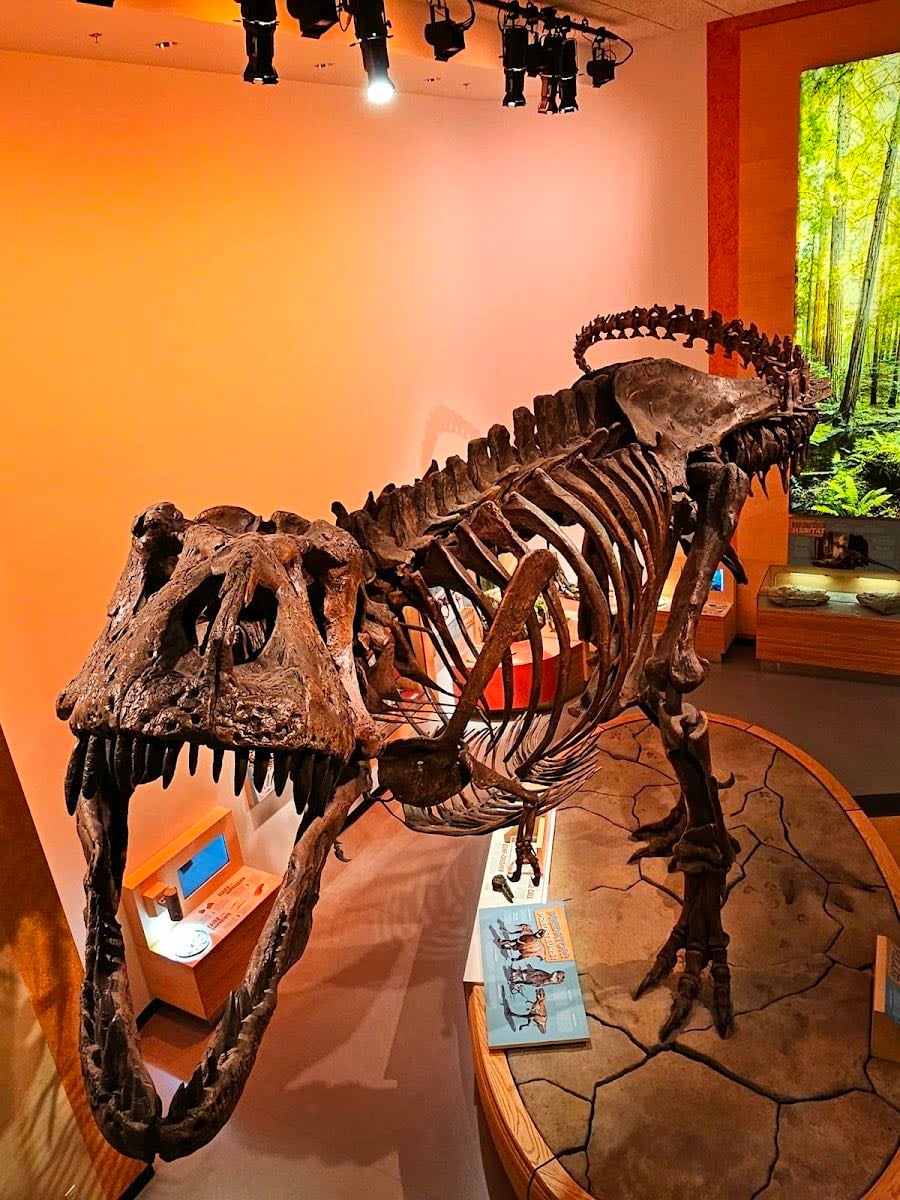 Royal Saskatchewan Museum