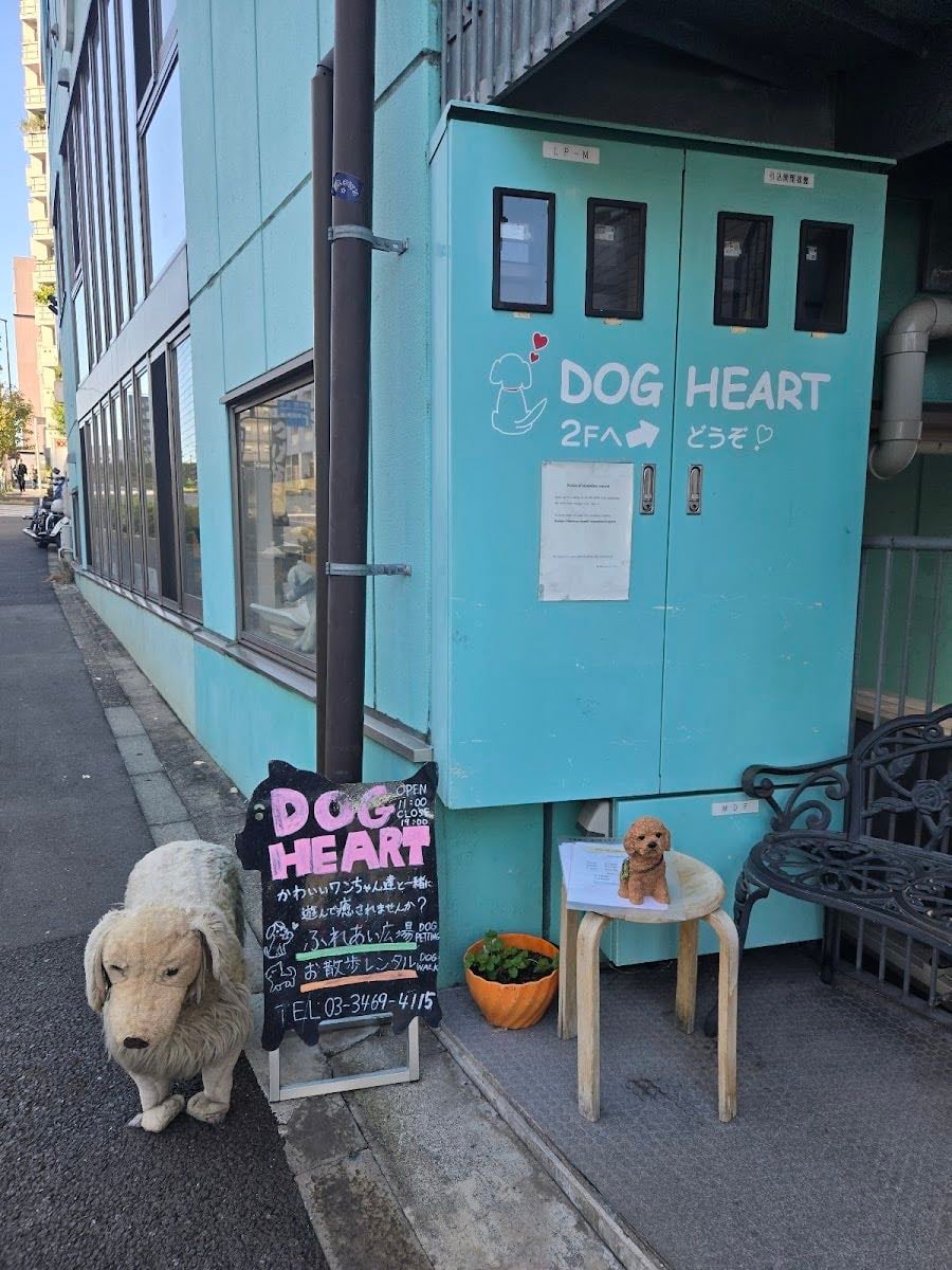 DOG HEART - walk a dog around for a day