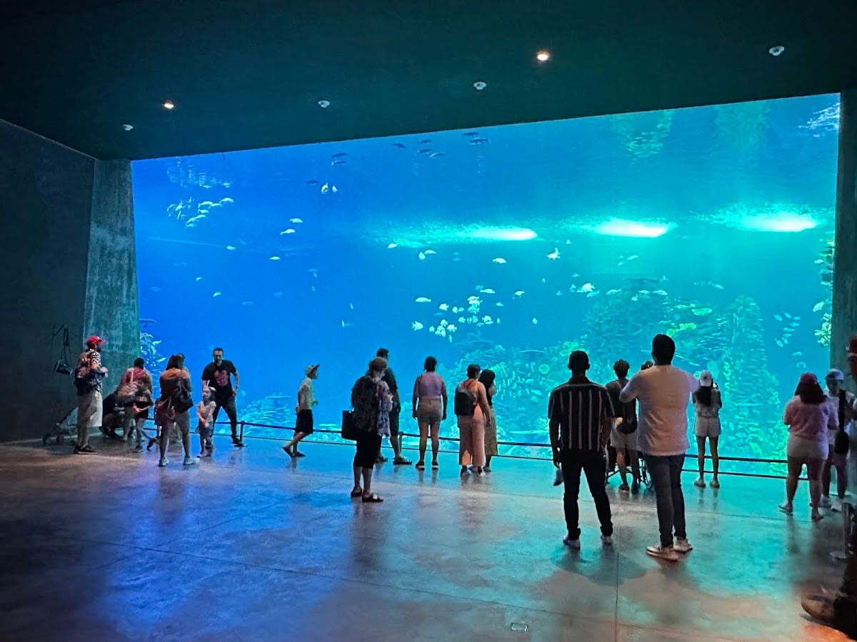 Acuario "Mar de Cortés"