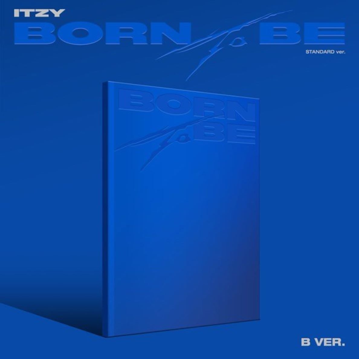 BORN TO BE-Standard~ Bleu