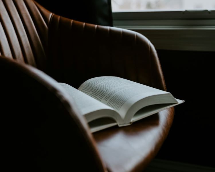 Contemporary Authors You Should Read