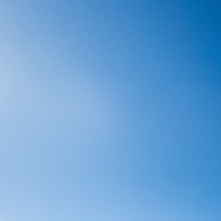 California Community Foundation - Website