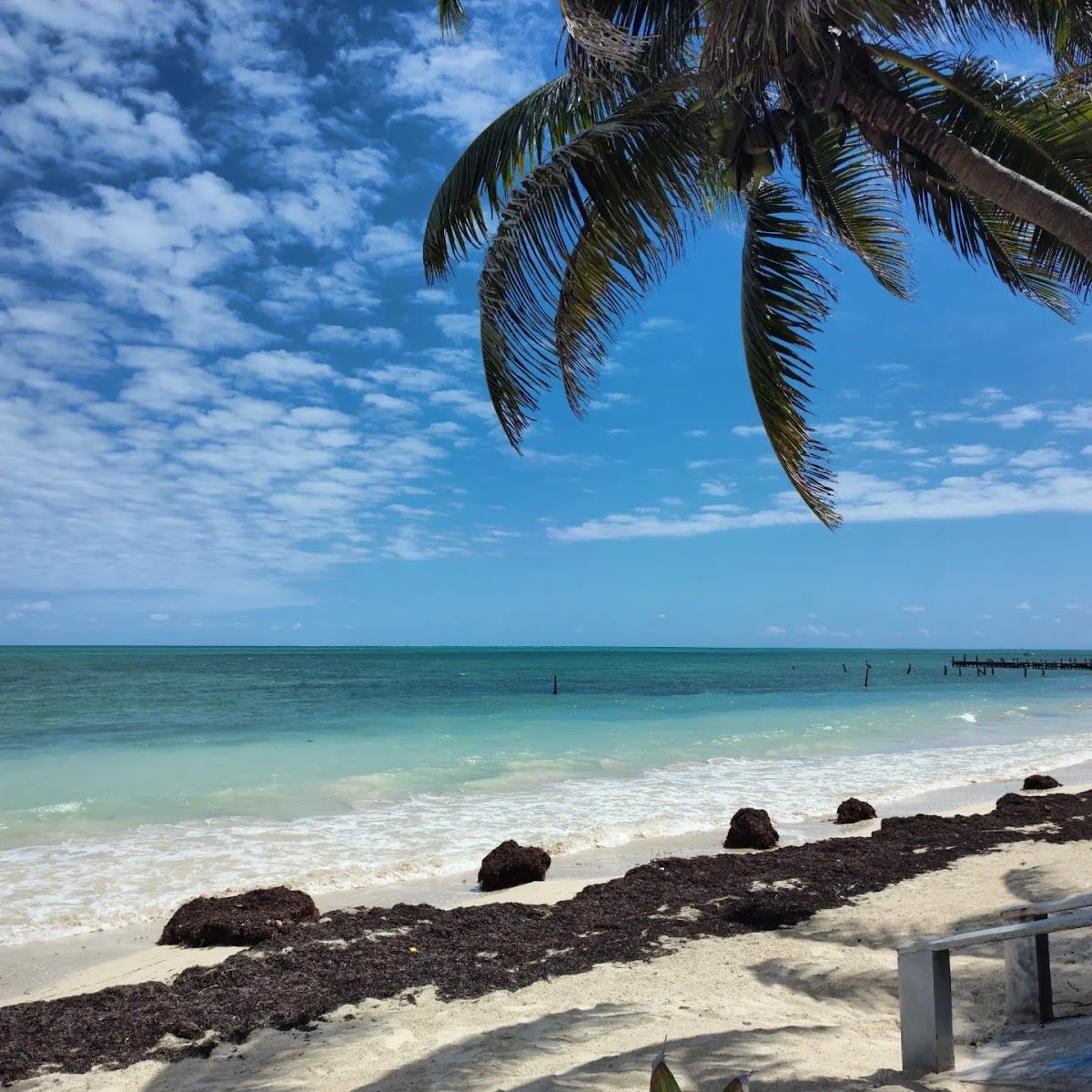 Punta Allen