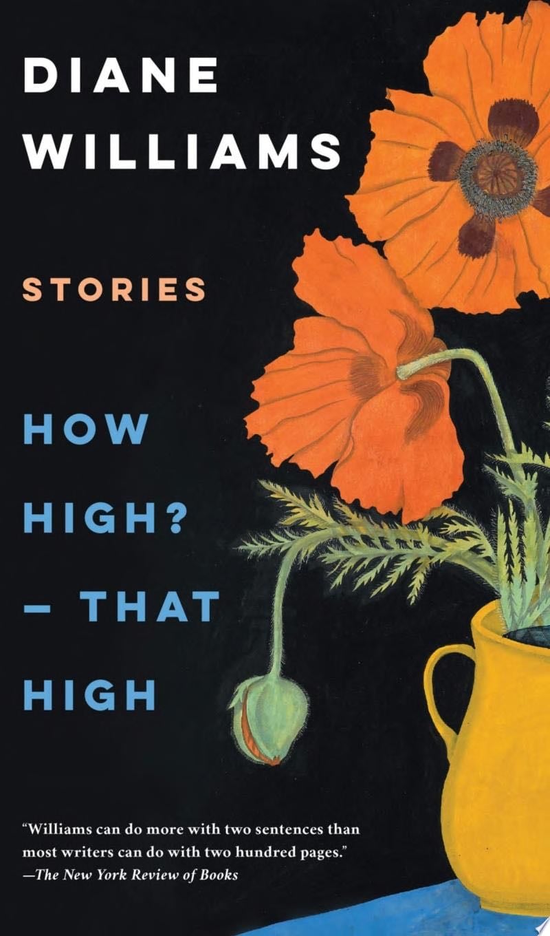 How High?--That High - Diane Williams · 2021