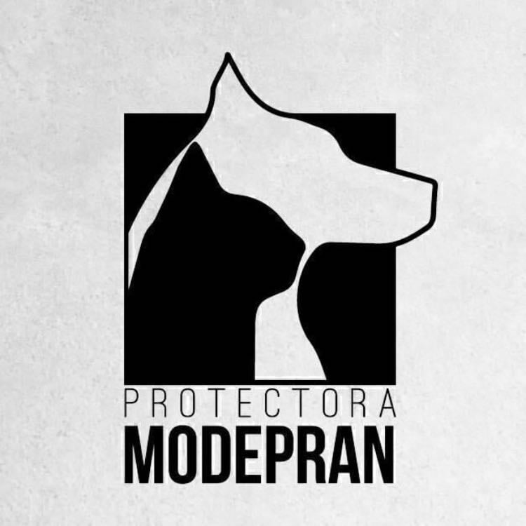 Modepran - Animal Shelter