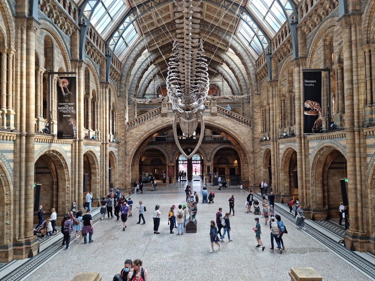 Natural History Museum