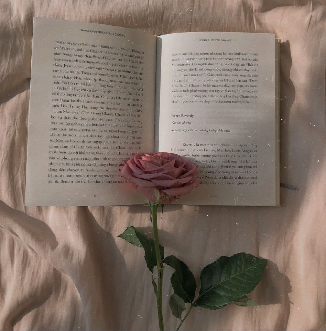 Wish Booksss 💋😝 - Books hypelist by Maude fschbch
