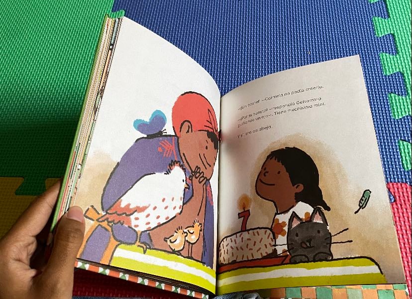 Libro álbum que recomiendo