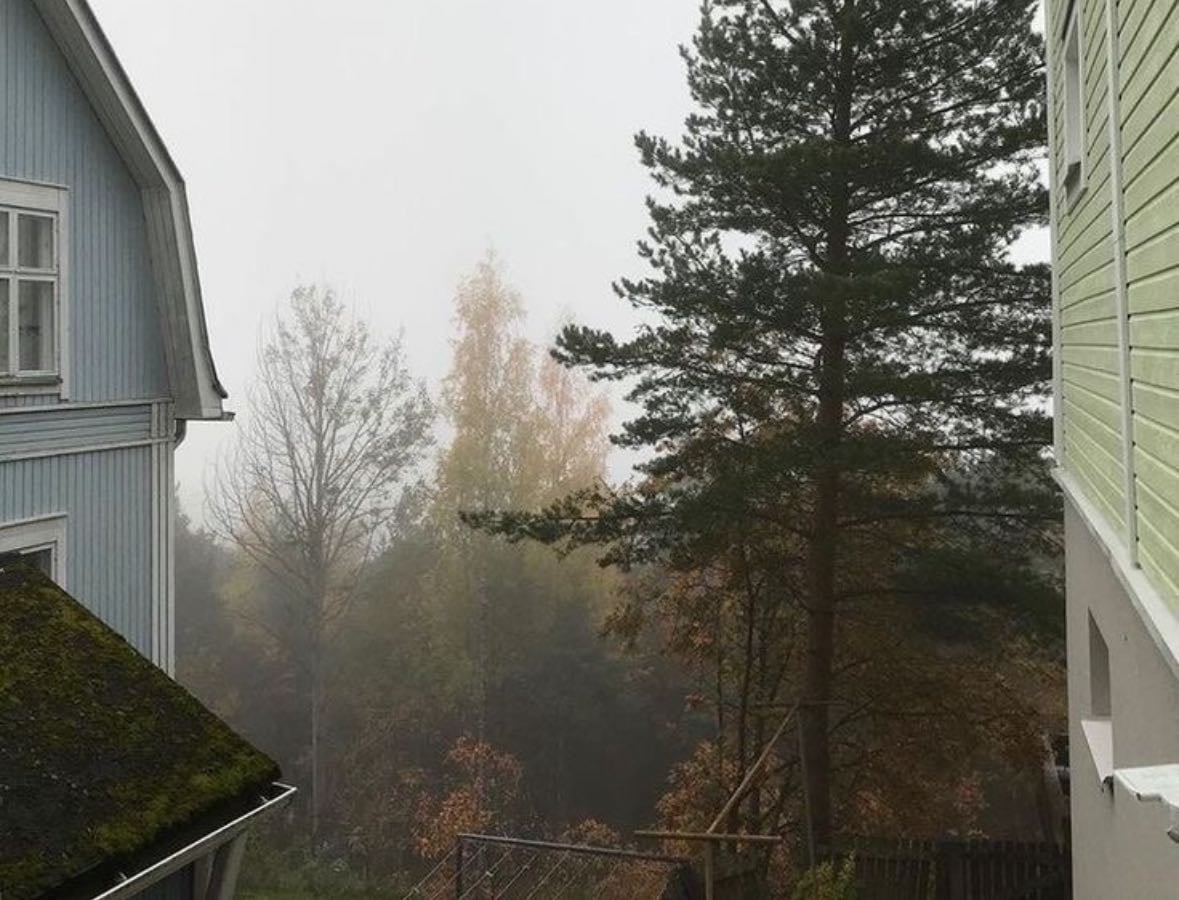 Autumn Films - Movies hypelist by Toto
