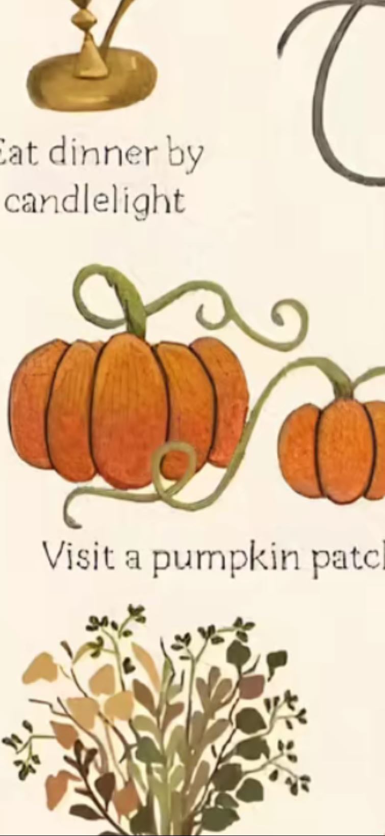 Pumpkin patch