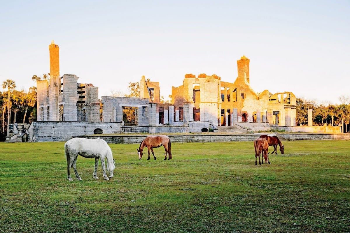 Cumberland Island