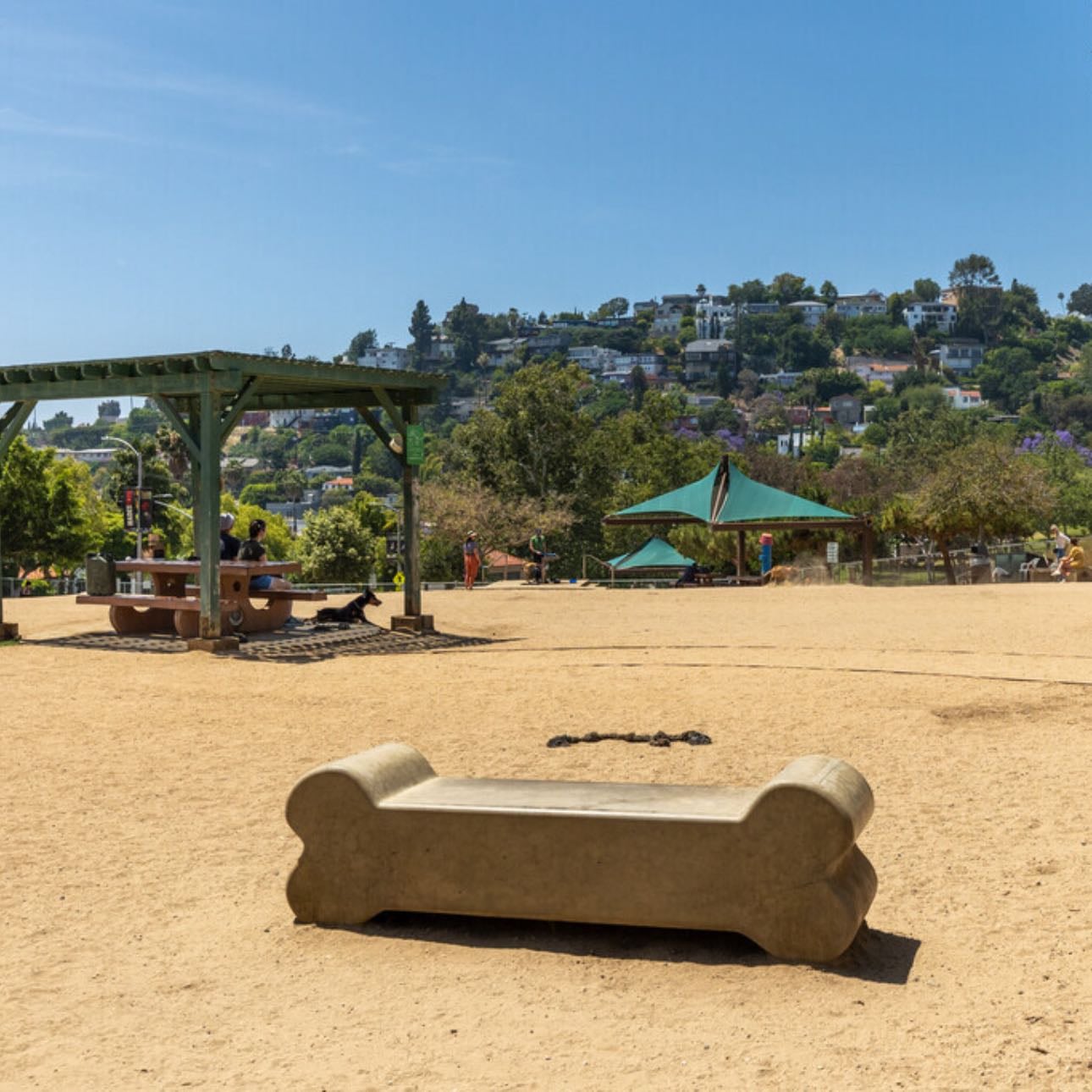 Silver lake dog park