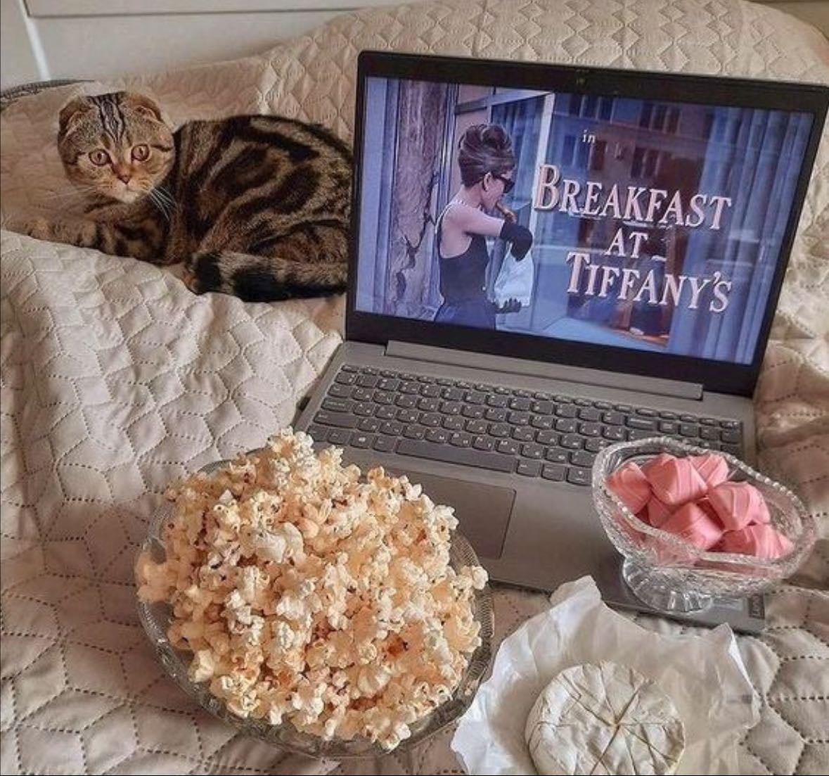 movie night 🎬🎀