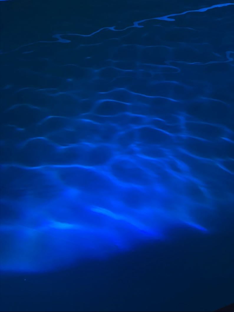 late night swim