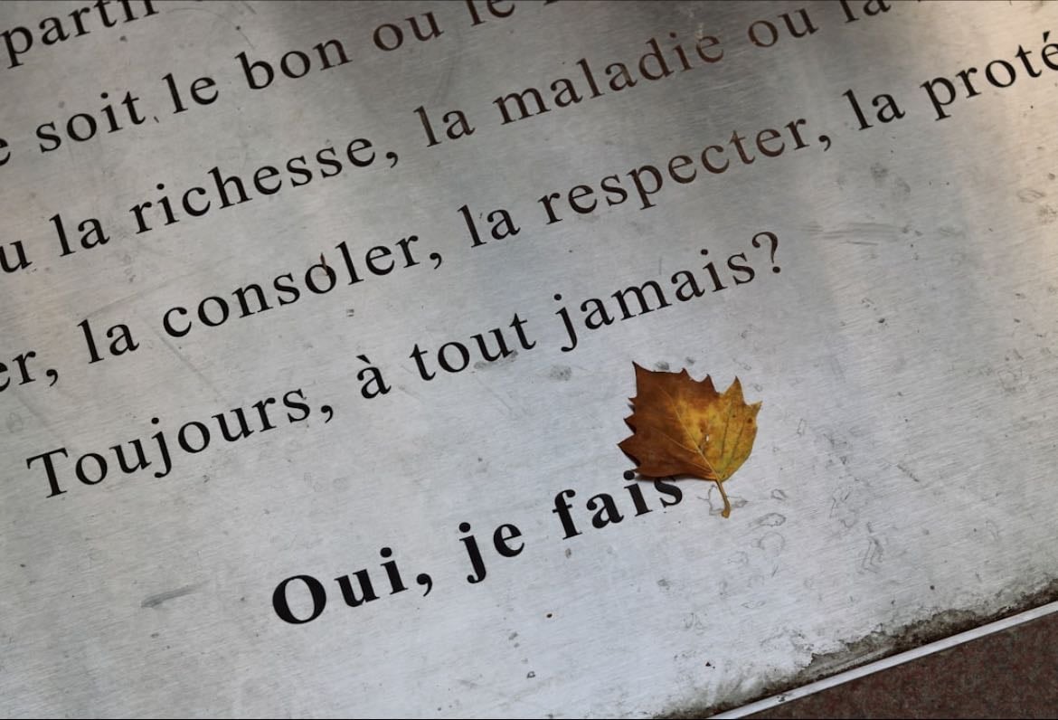 Read a whole novel in French