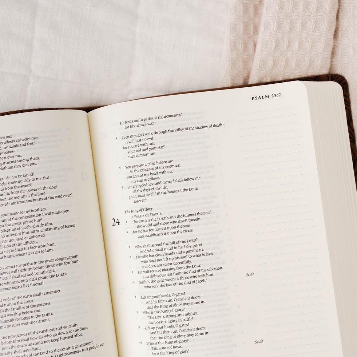 ESV Journaling Bible