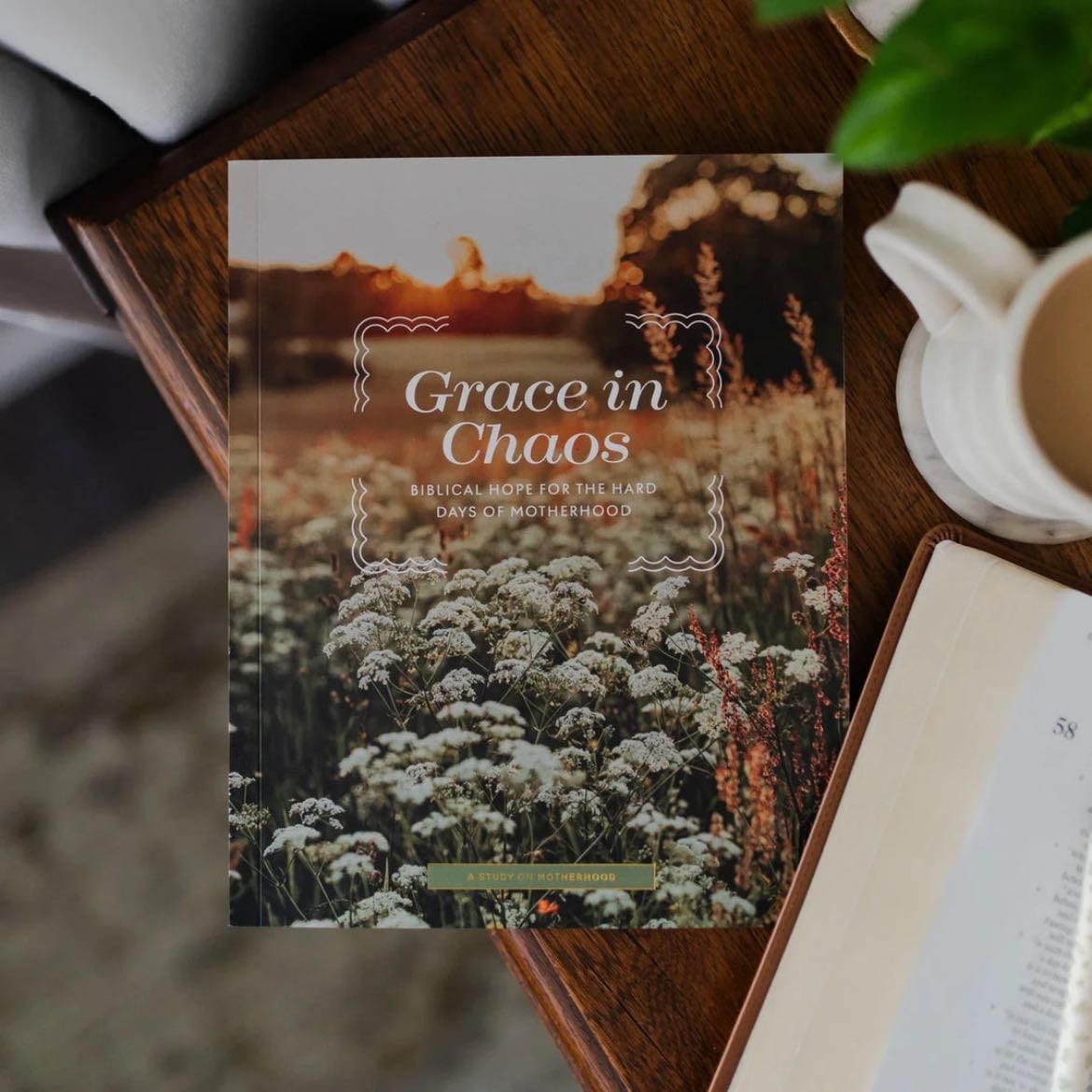 The Daily Grace Co. - Really cute Bible studies that are spiritually rich AND nice to look at 💅