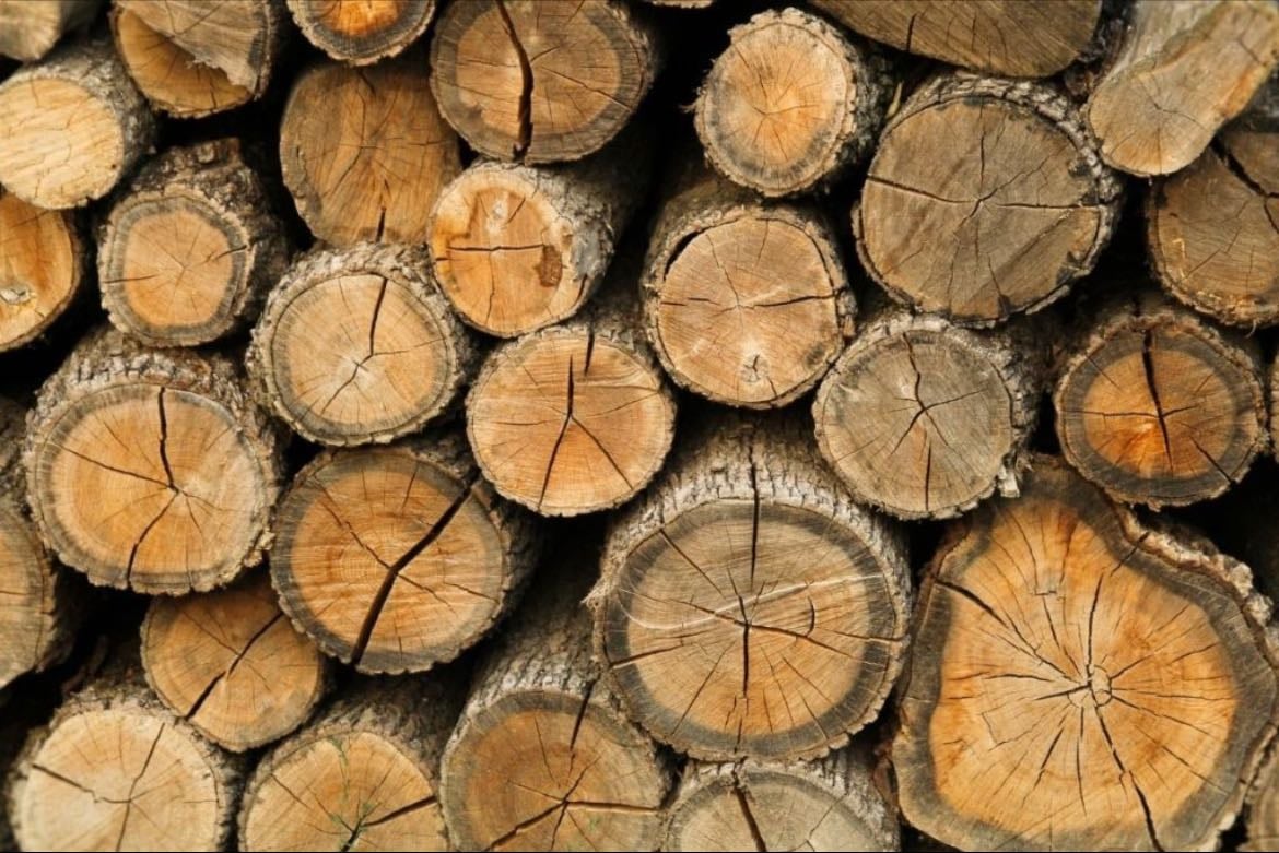 Cut Wood - New buildings hate to see me coming