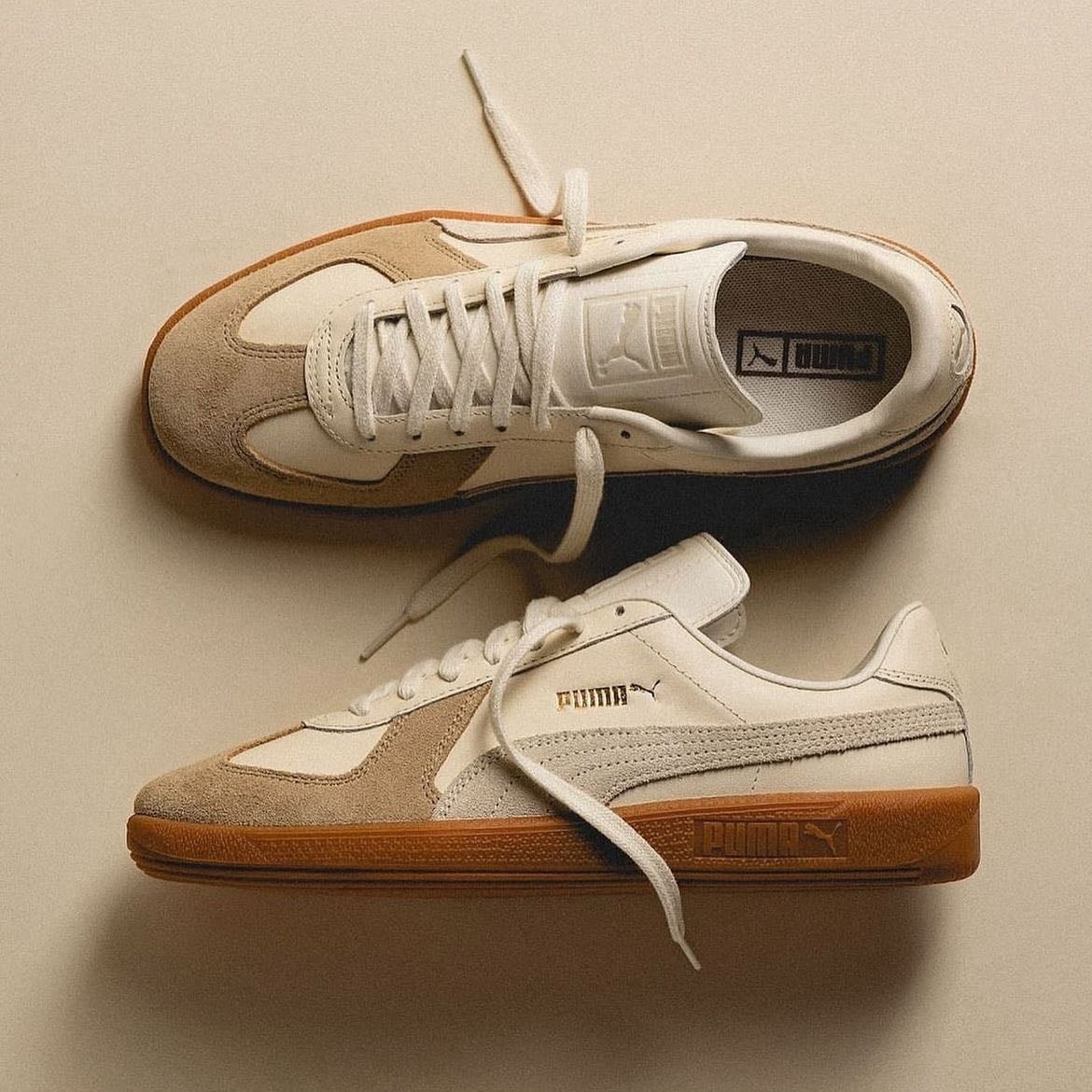 GATs - Puma