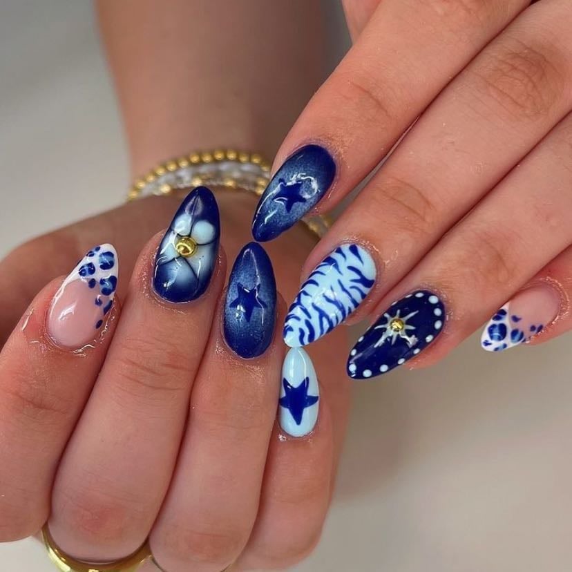 🐆🐬