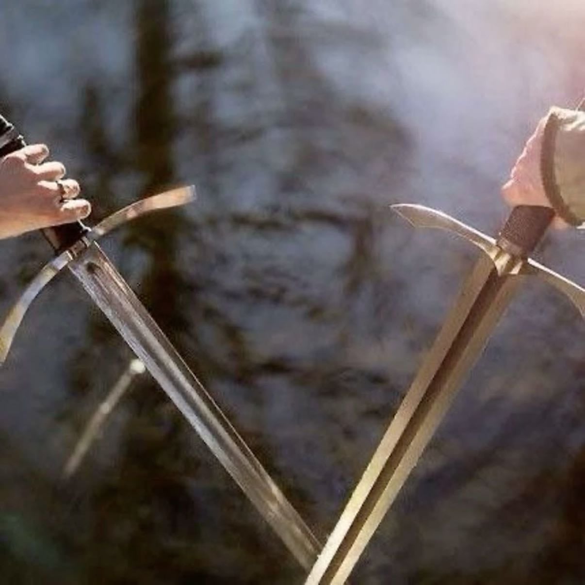 Swordcrossed - Freya Marske · 2024