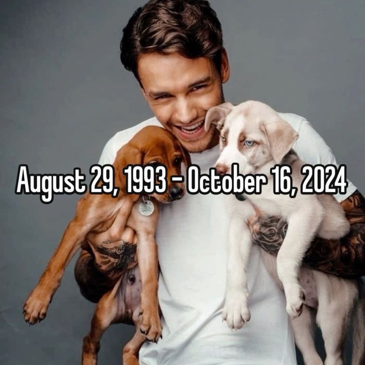1993-2024 <3 - gone too young. i thought i would be at least 40 before one of the members died. i feel so empty. i dont support his recent actions, however, as a teenage fan girl i love him from before. i will miss him so much. fly high and rest easy payno🕊️