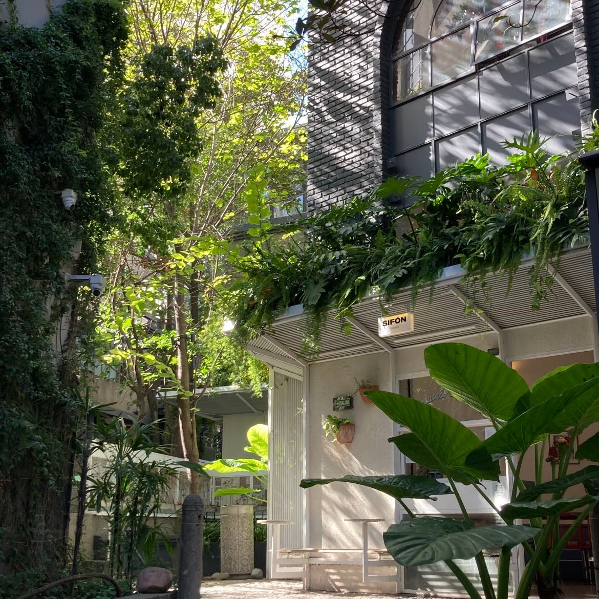 Paseo La Plaza