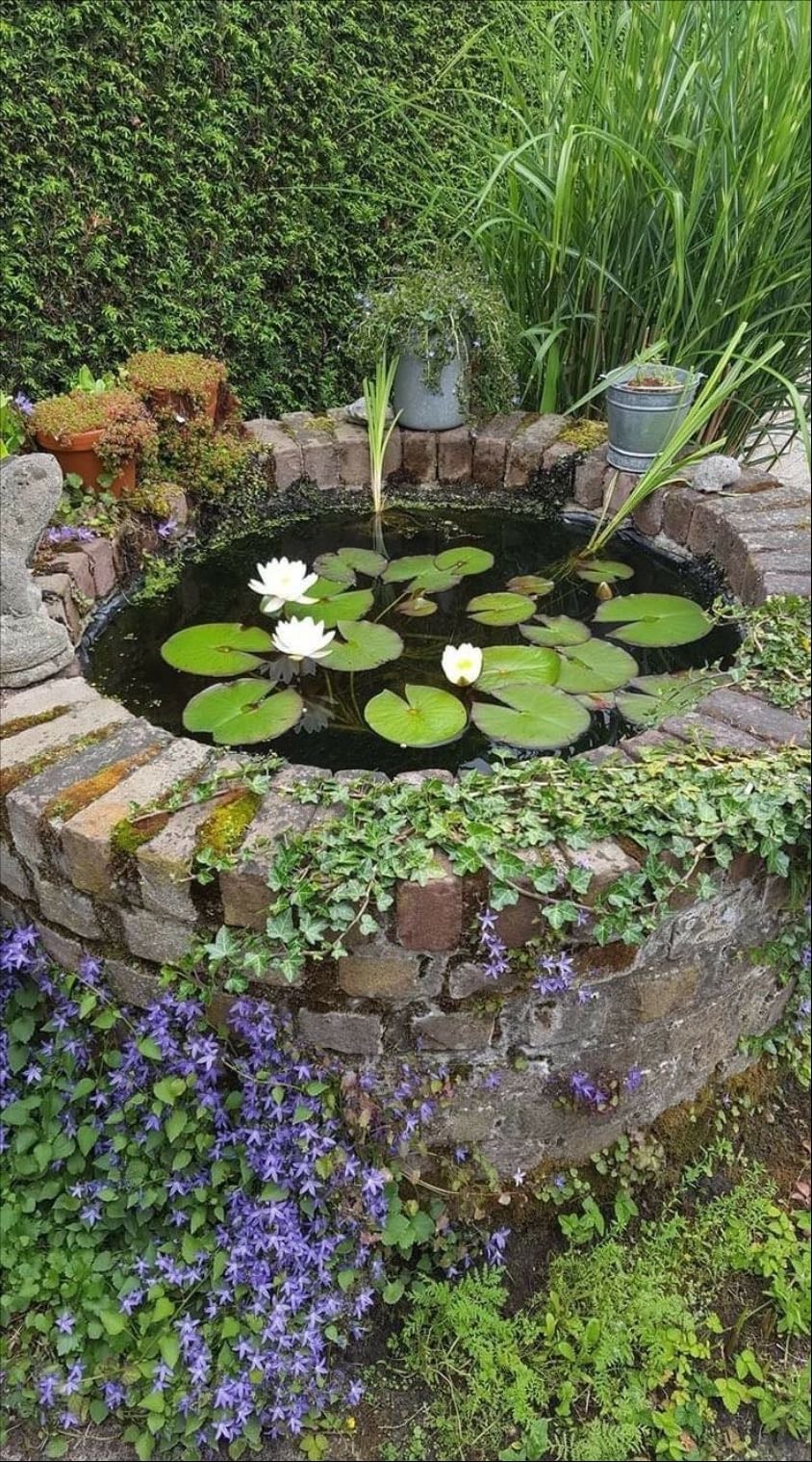 Well Pond