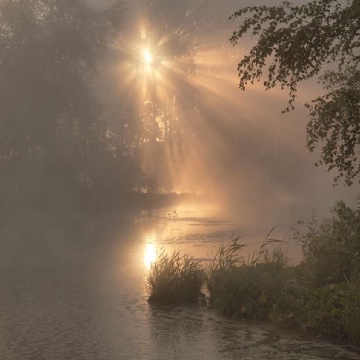 Foggy days