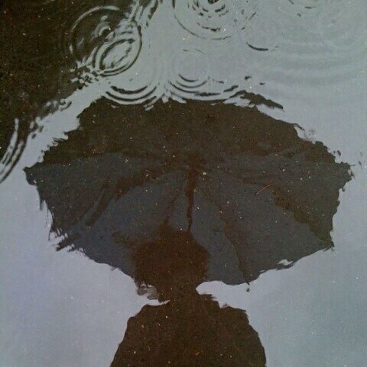 Rain + thunderstorms