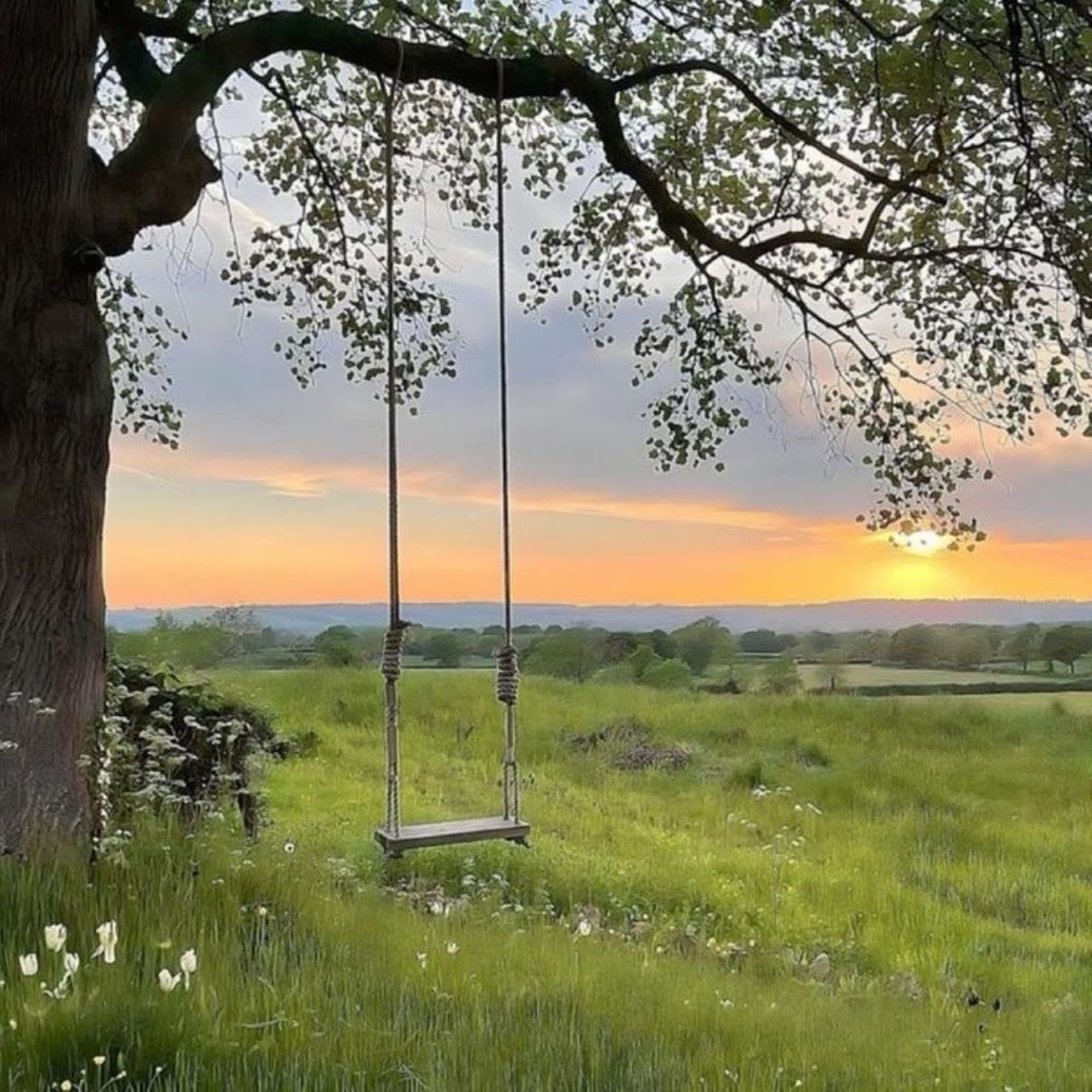 Swing