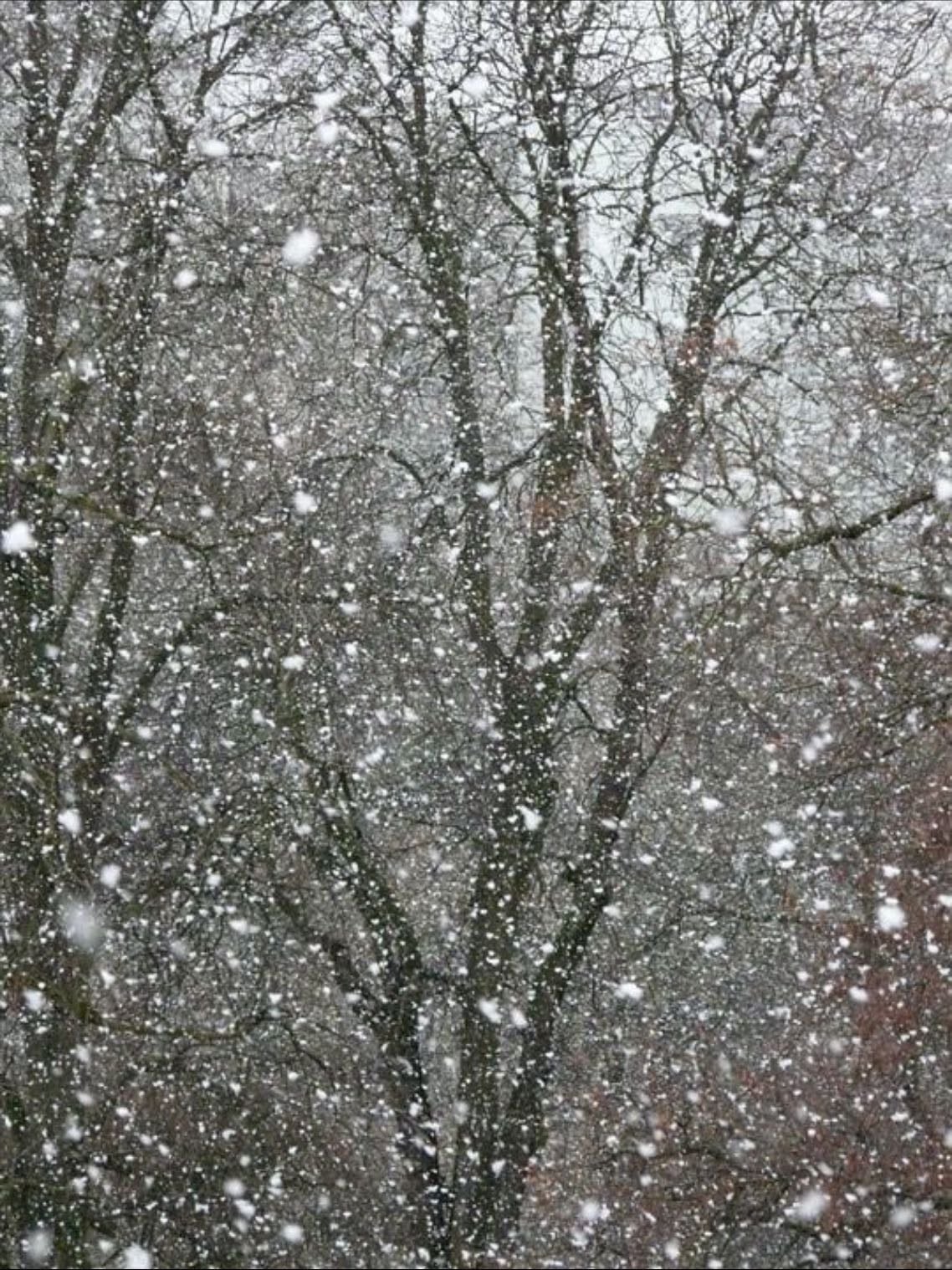 Heavy Snow Fall