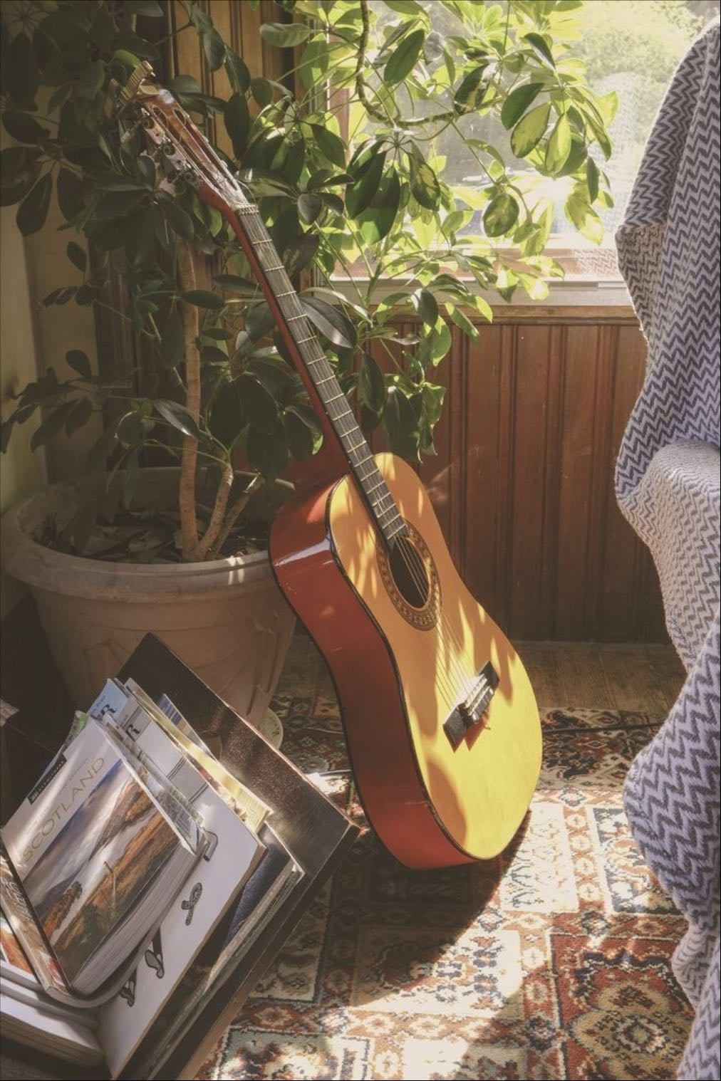 Guitar